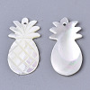 Natural White Shell Mother of Pearl Shell SSHEL-N034-37-2
