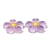 Luminous Resin Cabochons X-RESI-G030-01A-4