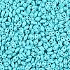 Baking Paint Glass Seed Beads SEED-T006-03H-2