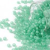 TOHO Round Seed Beads X-SEED-TR08-0156-1
