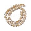Natural Trochid Shell/Trochus Shell Beads Strands SHEL-F003-08B-3