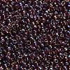 TOHO 8/0 Round Beads X-SEED-TR08-0166B-2