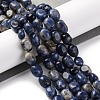 Natural Sodalite Beads Strands G-G146-A03-01-2