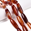 Natural Agate Dyed Beads Strands G-T138-230E-1