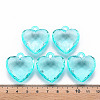 Transparent Acrylic Pendants LS-TACR-T024-03B-946-4