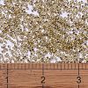 MIYUKI Delica Beads LS-X-SEED-J020-DB2155-4