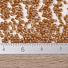 MIYUKI Delica Beads X-SEED-J020-DB1734-4