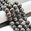 Natural Map Stone/Picasso Stone/Picasso Jasper Strands G-G099-10mm-27-5