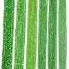 Electroplate Glass Beads Strands LS-EGLA-A044-T4mm-A11-2