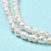 Natural Cultured Freshwater Pearl Beads Strands PEAR-E016-126-4