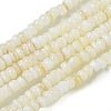 Dyed Natural Freshwater Shell Beads Strands X1-BSHE-G039-07N-1