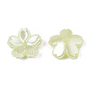 Acrylic Imitation Pearl Beads OACR-N012-002G-3