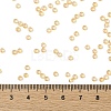 TOHO Round Seed Beads X-SEED-TR08-0923-4