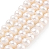 Natural Cultured Freshwater Pearl Beads Strands PEAR-C003-12I-X-2
