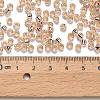 TOHO 6/0 Round Beads X-SEED-TR06-0031-3