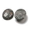 Natural Map Stone Cabochons G-C115-01B-48-2