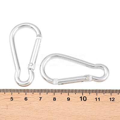 Aluminum Carabiners EA026-01-1