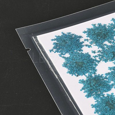 Pressed Dried Flowers DIY-K032-58E-1