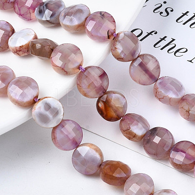 Natural Fire Crackle Agate Beads Strands X-G-S359-372-1