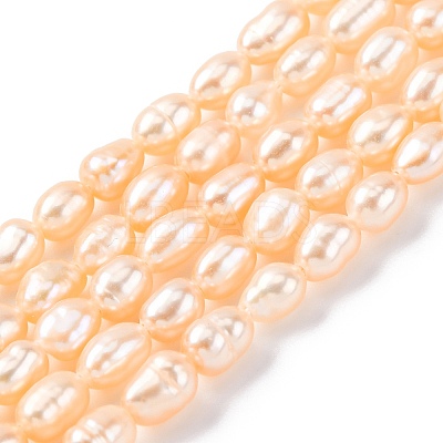 Natural Cultured Freshwater Pearl Beads Strands PEAR-I007-01L-03-1