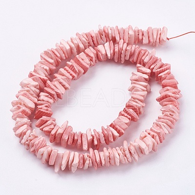 Natural Sea Shell Beads Strands BSHE-K012-08D-1
