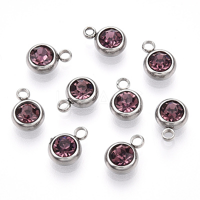 201 Stainless Steel Rhinestone Charms STAS-S068-06-1