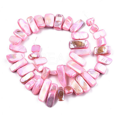 Natural Freshwater Shell Beads Strands SHEL-N026-123B-1