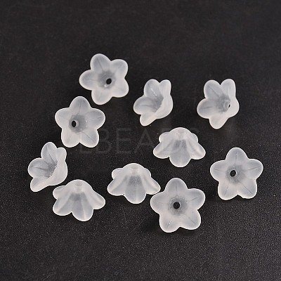Transparent Acrylic Beads PL560-1
