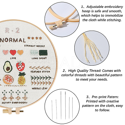 DIY Embroidery Kits For Beginner DIY-WH20011-73G-1