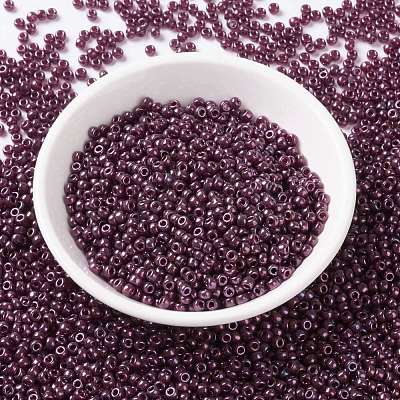 MIYUKI Round Rocailles Beads X-SEED-G008-RR0313-1