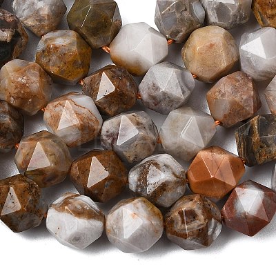 Natural Gobi Agate Beads Strands G-Z119-A36-03-1