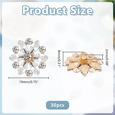30Pcs Alloy Rhinestone Shank Buttons BUTT-HY0001-29-1