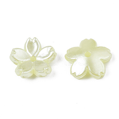 Acrylic Imitation Pearl Beads OACR-N012-002G-1