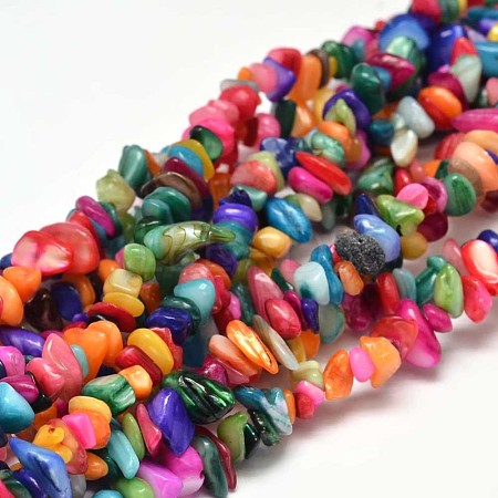 Natural Chip Dyed Shell Bead Strands G-L454-10-1