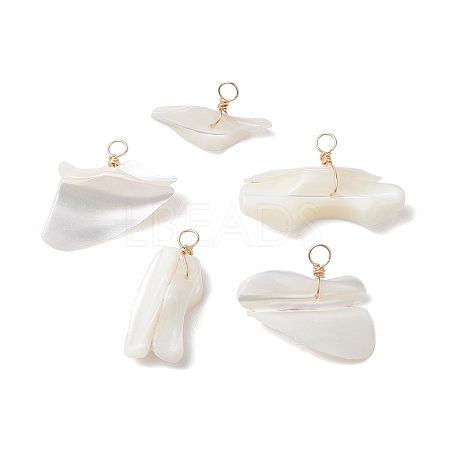 Natural Trochid Shell Pendants PALLOY-JF02809-02-1