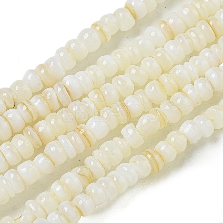 Dyed Natural Freshwater Shell Beads Strands X1-BSHE-G039-07N-1