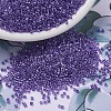 MIYUKI Delica Beads X-SEED-J020-DB0906-1