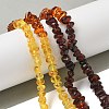 Gradient Color Natural Amber Beads Strands G-K387-F01-01-1