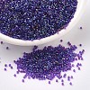 MIYUKI Delica Beads SEED-JP0008-DB1755-1