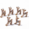 Resin Pendants X-RESI-T028-67-2
