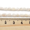 Natural Keshi Pearl Cultured Freshwater Pearl Beads Strands PEAR-P062-25C-5