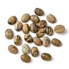 Natural Picture Jasper Cabochons G-A094-01B-48-1