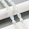 Opalite Beads Strands G-P520-C23-01-2