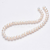 Natural Cultured Freshwater Pearl Beads Strands PEAR-R013-06-3