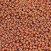MIYUKI Round Rocailles Beads SEED-G007-RR4207-2