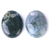 Natural Indian Agate Cabochons PW-WG8E62B-04-2