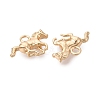 Brass Pendants X-KK-Q074-22G-2