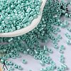Baking Paint Glass Seed Beads X-SEED-S042-15A-09-1