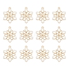 Barrel Plating Alloy Enamel Pendants ENAM-YW0002-57-1