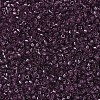 MIYUKI Delica Beads X-SEED-J020-DB1104-3